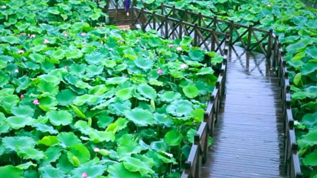 南充南部縣十大最好玩的地方，南部縣旅游景點(diǎn)有哪些