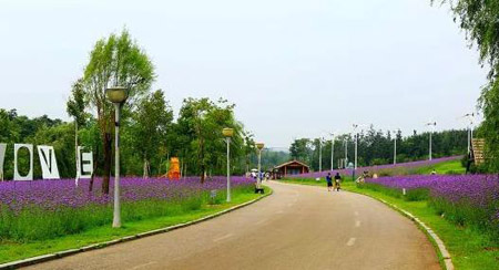 南陽(yáng)十大最好玩的景點(diǎn)，南陽(yáng)旅游景點(diǎn)大全簡(jiǎn)介